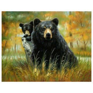 Super Plush Black Bear and Cub Queen Mink Style Blankets 79x95
