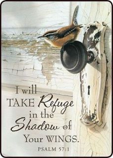 Wings Bird Country Door Knob Magnet I Will Take Refuge Shadow Of Wings