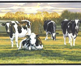 HOLSTEIN BLACK & WHITE COWS WALLPAPER BORDER FFR65382B