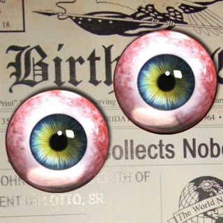 Large Human Eye 1.5 Inch Glass Taxidermy Craft Doll Eyeballs