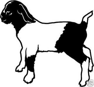 Boer Goat #8 Decals Farm Animal Window Stickers 6