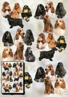 Cocker Spaniel Gift Wrapping Paper By Starprint