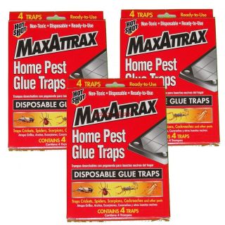 Lot Of 3 Boxes (12 Traps) MaxAttrax Disposable Insect Bug Pest