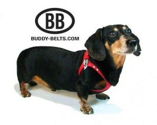 Buddy Belts   Your Choice of 5 Classic Colors & **NEW Natural   Size 3