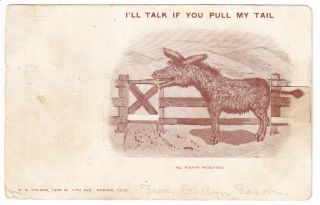Mechanical Postcard, Donkey, Ill Talk If You Pull My Tail, 1906