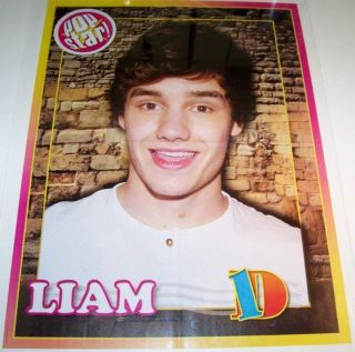 PAYNE   1D   ONE DIRECTION   CODY SIMPSON   22 x 16 MAGAZINE POSTER