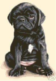 BLACK PUG puppy dog complete counted cross stitch kit