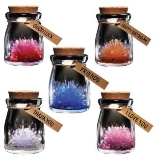 Crystal Wish Flowers Grow Your Own Crystals Collectible Decor Piece