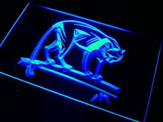 panthers neon