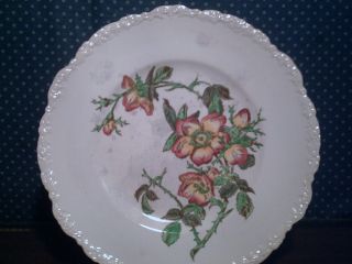 Vintage Cauldon Botanical Floral Wild Rose 11 1/4 Dinner Plate