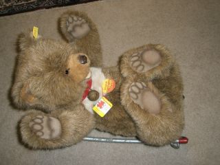 Very Large Steiff Bear on Wheels with Tags Knopf Im Ohr 24 x15 Inches