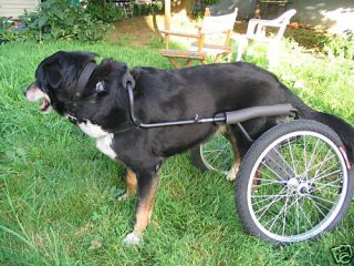 Dwanecart Dog Wheelchair Medium to Large No Wheels