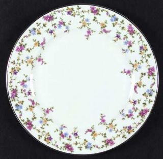 Heinrich   H&C Coquette White Dinner Plate, Fine China Dinnerware   Floral Rim,W
