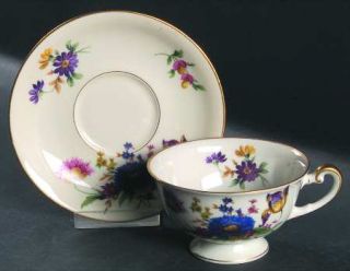 Royal York (Germany) Sorrento Footed Cup & Saucer Set, Fine China Dinnerware   L