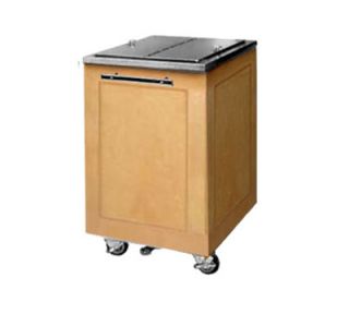 FWE   Food Warming Equipment Executive Series Mobile Ice Bin, 200lb Capacity, Fully Insulated.