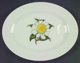 Haviland Camellia 11 Oval Serving Platter, Fine China Dinnerware   New York, Gr
