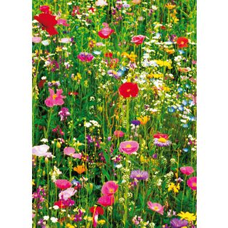 Ideal Decor Flower Field Wall Mural (SmallSubject LandscapesImage dimensions 50 inches x 72 inchesOutside dimensions 50 inches x 72 inches )