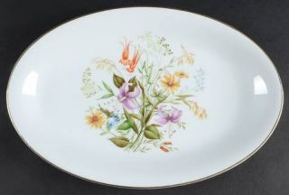 Noritake Mystery #164 12 Oval Serving Platter, Fine China Dinnerware   Multicol