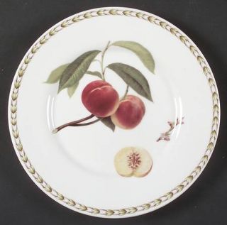 Rosina Queens HookerS Fruit (Bone, Made In England) Salad Plate, Fine China Din