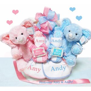 Double the Blessings Twins Baby Gift Basket Personalized Multicolor   DBTGB 