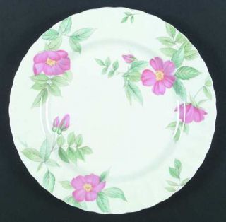 Mikasa Fleuriste Dinner Plate, Fine China Dinnerware   Maxima, Pink Flowers, Gre