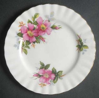 Royal Albert Prairie Rose Bread & Butter Plate, Fine China Dinnerware   Pink Flo